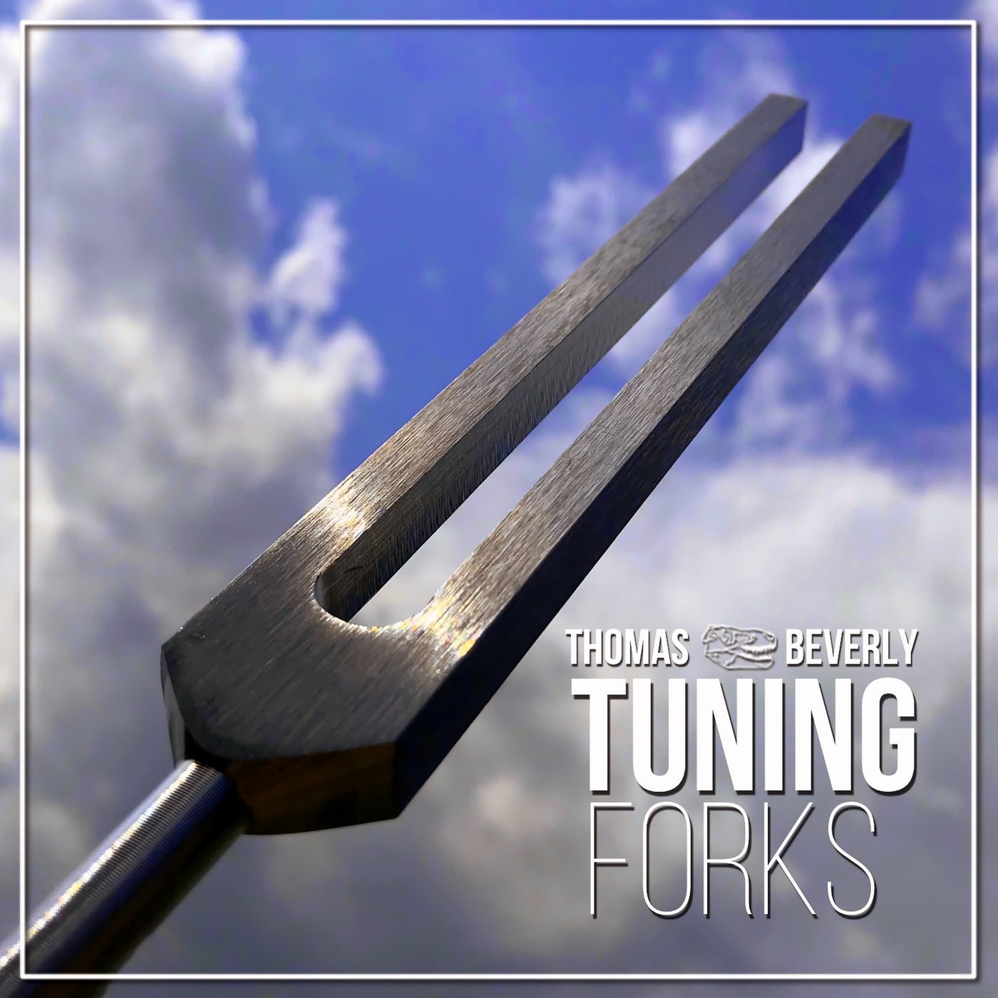 SD24 Tuning Forks