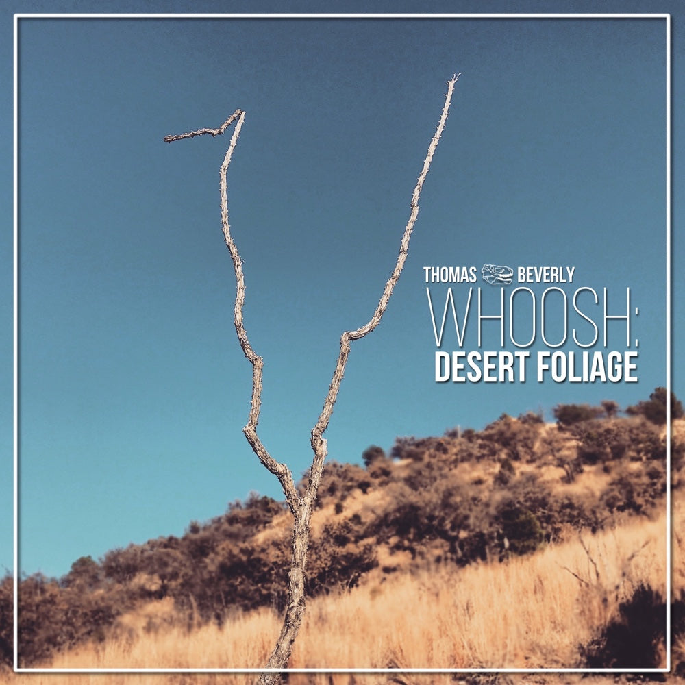 SD08 Whoosh: Desert Foliage