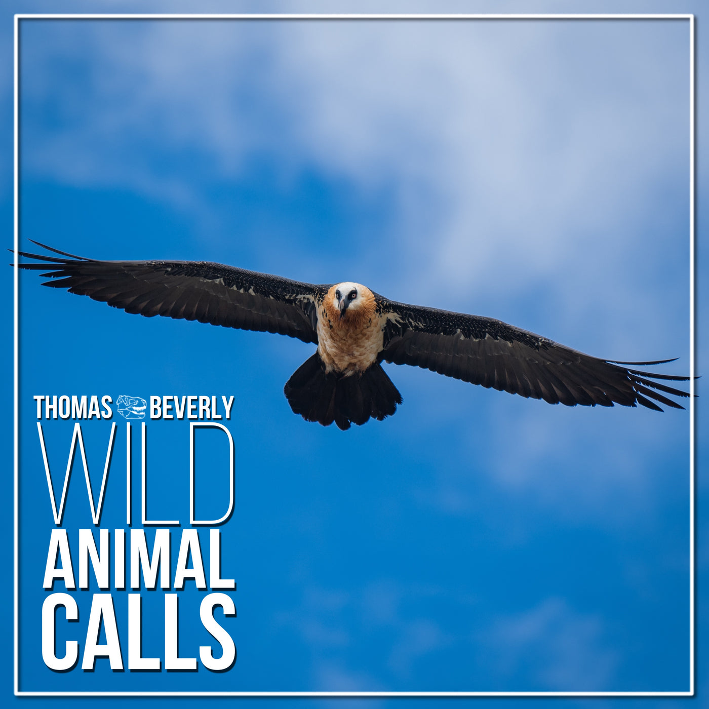 SD25 Wild Animal Calls