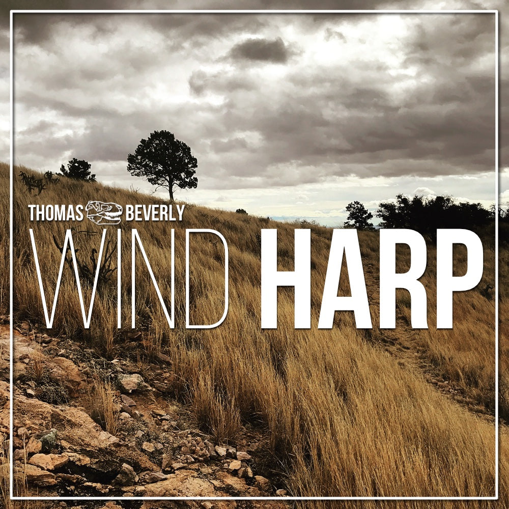 SD06 Wind Harp